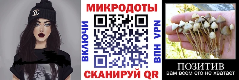 Псилоцибиновые грибы ЛСД  Алексеевка 